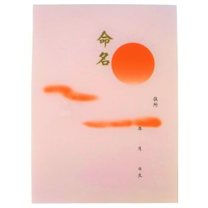 画像: 「命名用紙」　：命名デラックス(TDX-1000)専用