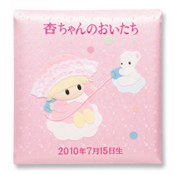 画像1: ベビー名入刺繍アルバム　C050-336　トミーメモリアル